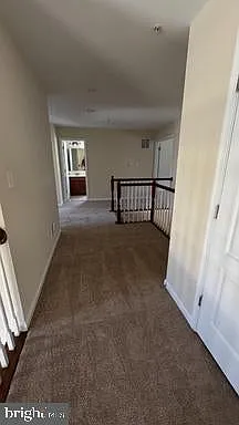 11151 Saint Christopher Dr — Photo 18