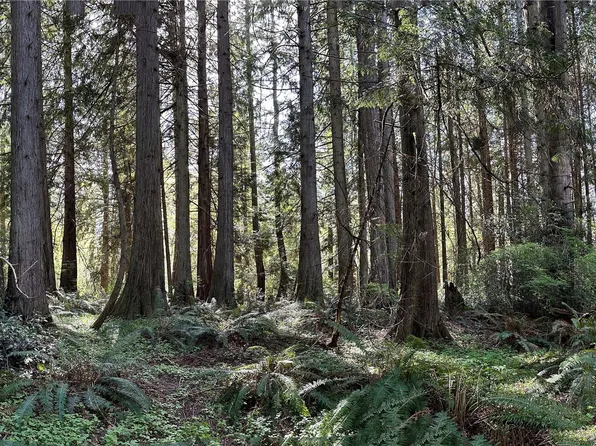 0 Lot 31 NW Lakeness, Poulsbo, WA 98370