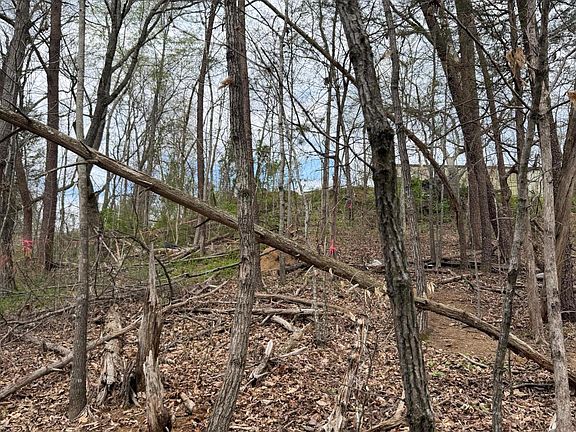 4th image of 151 Hennessey Mountain Brisk Way