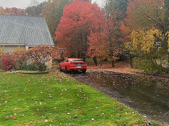 3rd image of 5913 Carmen Ct W