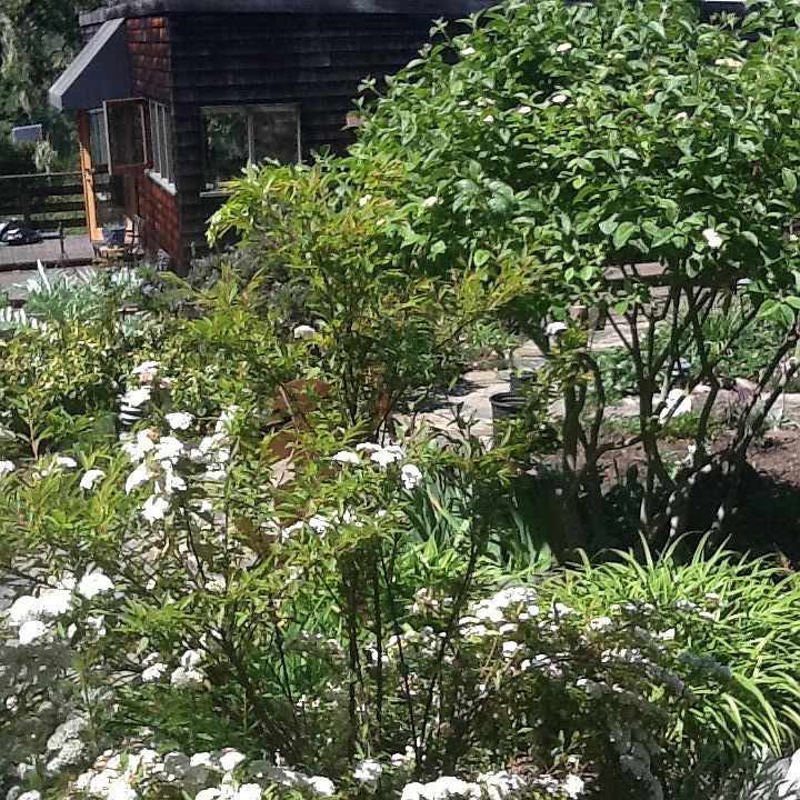 1st image of 775 Seacliff Dr