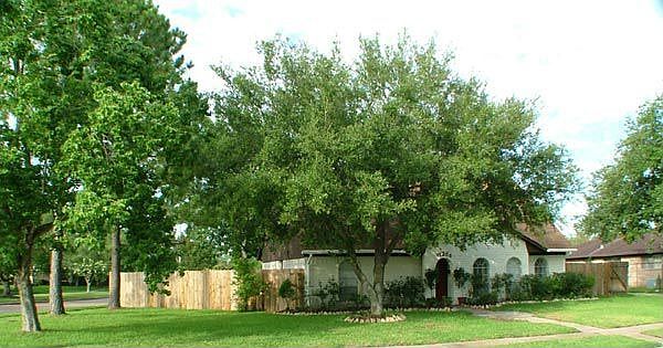 1st image of 11203 Sagetrail Dr