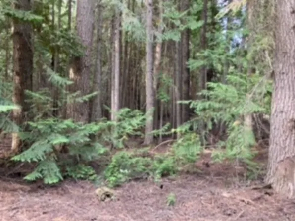 Nka Leslie Creek Rd, Chewelah, WA 99109