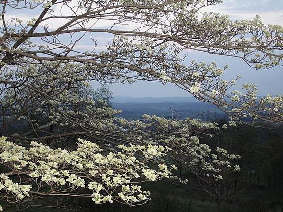 partial eastern view