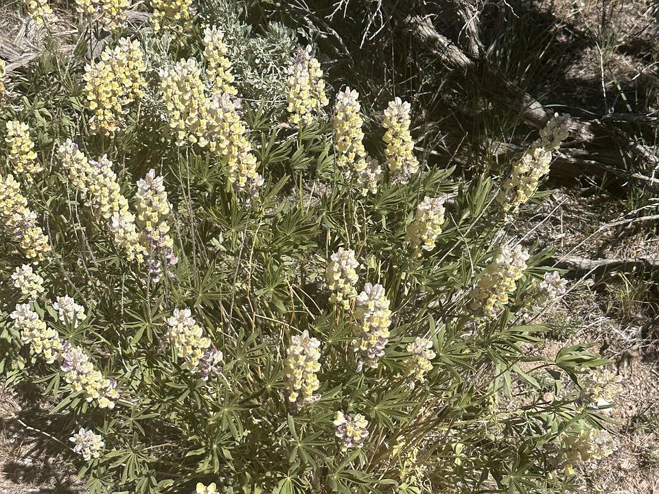 2nd image of Montello