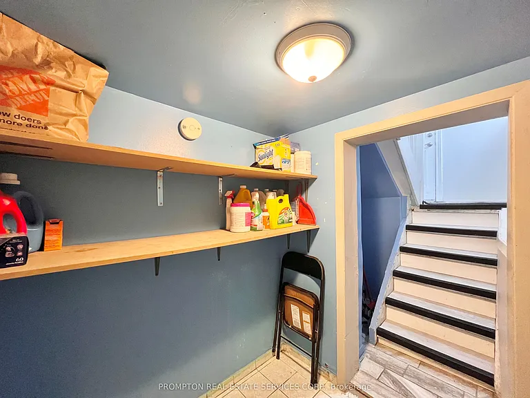 17 Winnifred Ave — Photo 44