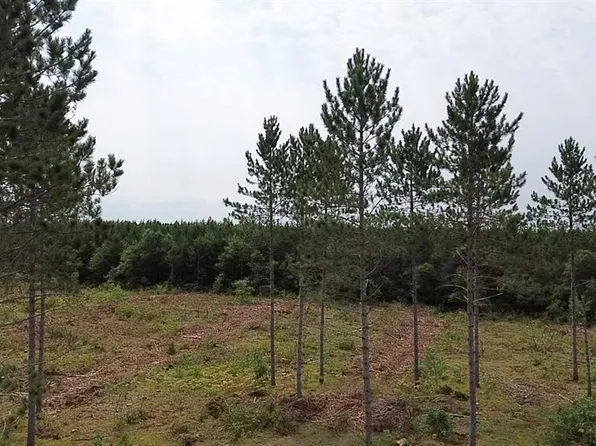 211X Ellison Lake Road, Barnes, WI 54873