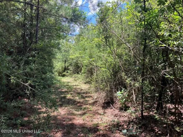 State Highway 48, Tylertown, MS 39667