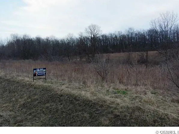 8005 Stagecoach Rd, Dansville, NY 14437