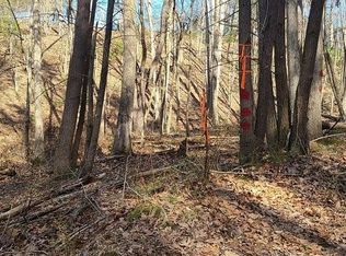 Williams Rd, Franklin, WV 26807