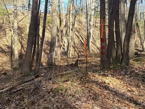 Williams Rd, Franklin, WV 26807