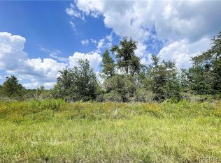 31 W Lynnhaven Pl, Citrus Springs, FL 34434