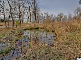 Smith Vasser Rd, Harvest, AL 35749