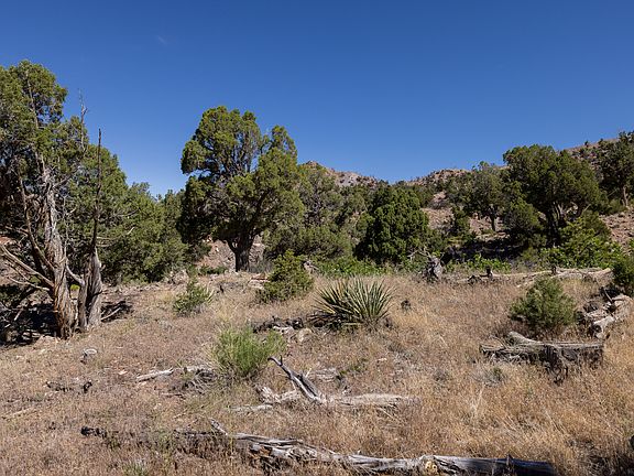 5th image of 4 La Sal Pass Spur