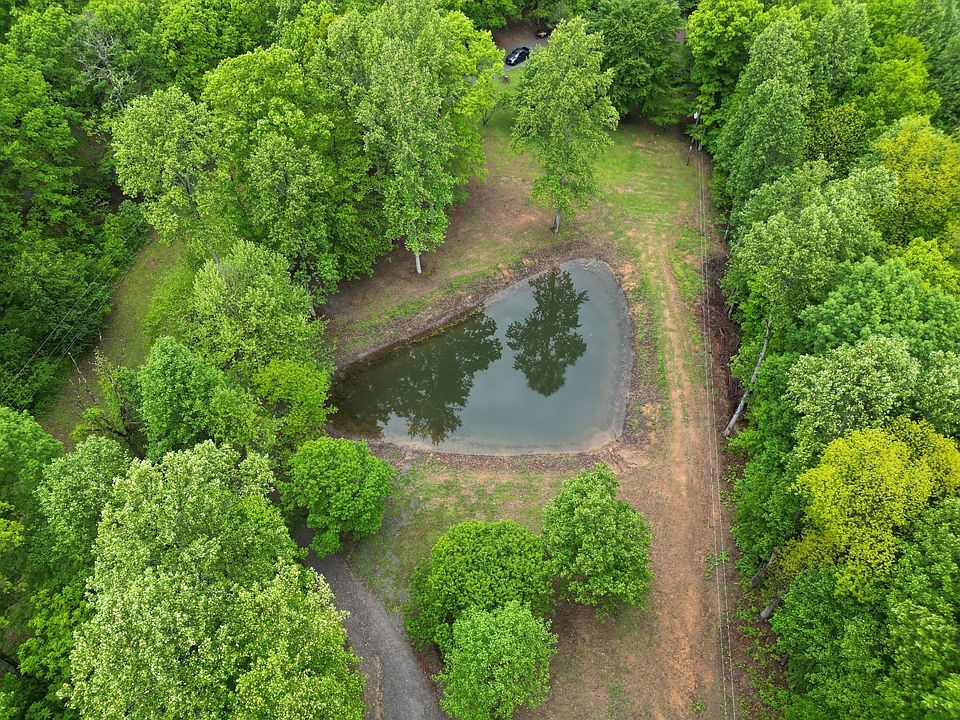 10th image of this home