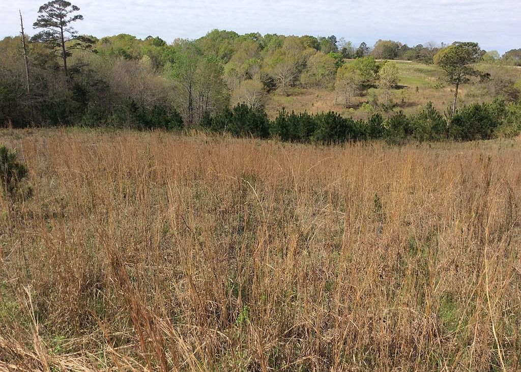 2100 Posey Rd, Honoraville, AL 36042 Zillow