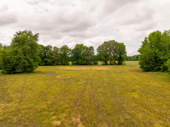 0 Gillahan Rd Lot 2, Ledbetter, KY 42058