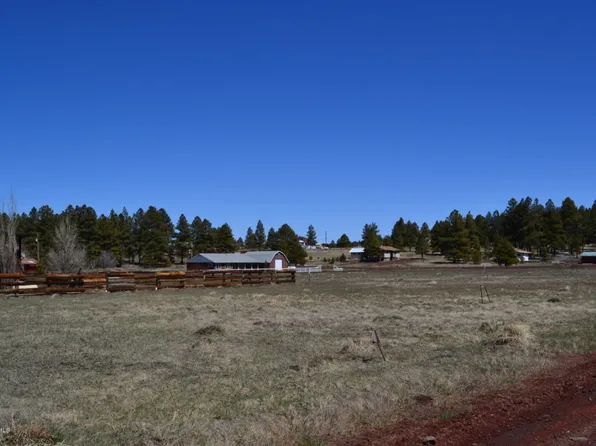 221 Anglers Loop, Mormon Lake, AZ 86038