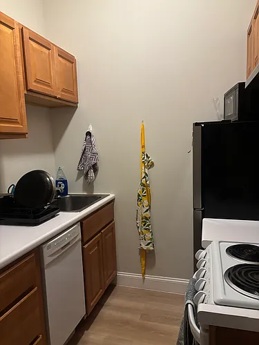 111 Norway St #104 Photo 1