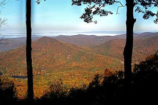 2nd image of 626 Big Stump Mountain Trl