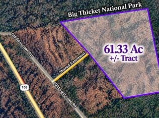 /old Sour Lake Rd, Sour Lake, TX 77659