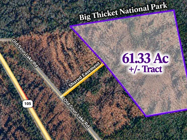 /old Sour Lake Rd, Sour Lake, TX 77659