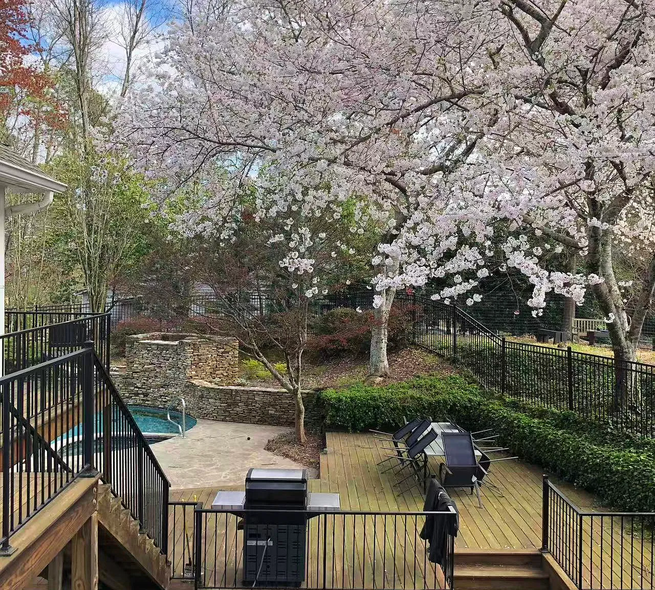 Cameron Forest Pkwy, Johns Creek — Photo 4