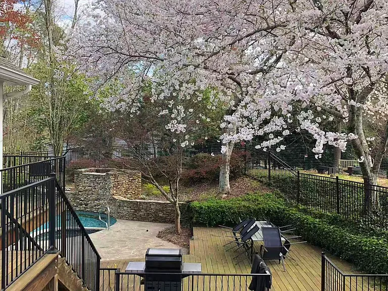 Pool side deck & BBQ