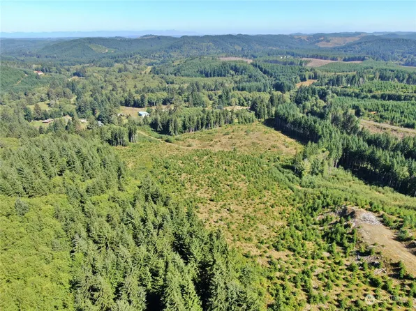 0 Lund Road, Cosmopolis, WA 98537