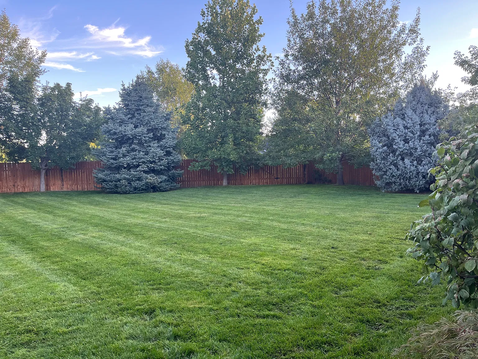 4 bed, 2323 sqft, $2,950 — Photo 4