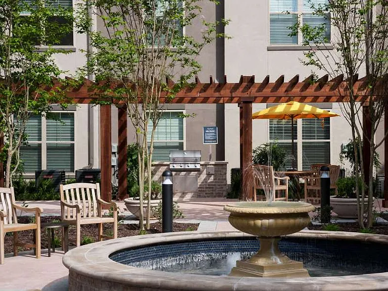 Firewheel Town Village 55+ — Photo 15