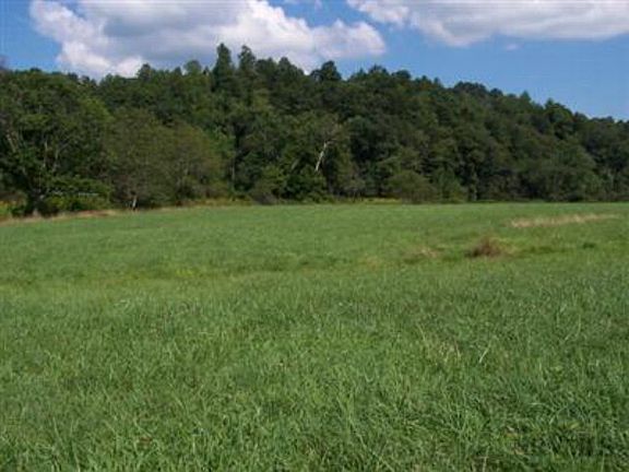 3rd image of Lot 5 Poplar Hill
