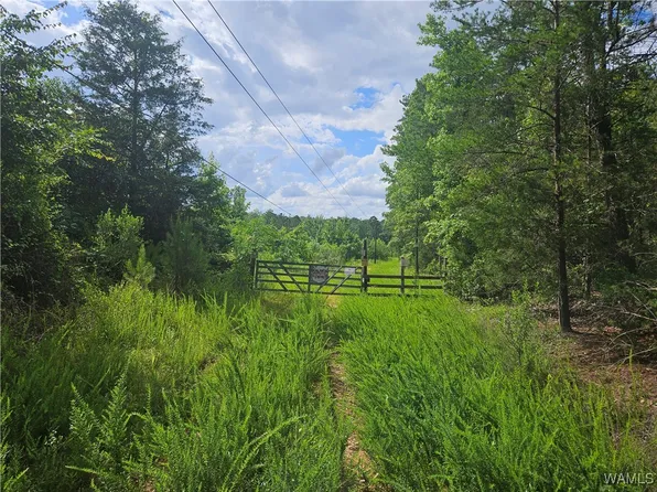 590 Serty Boyd Rd, West Blocton, AL 35184