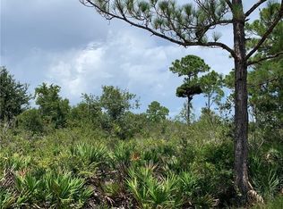 225 Tomahawk St, Lake Placid, FL 33852