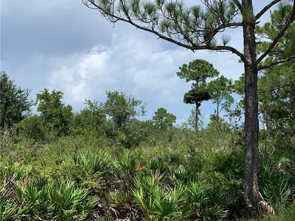 225 Tomahawk St, Lake Placid, FL 33852