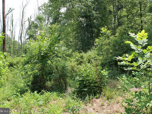 15 Mason Dixon Trl, Fairfield, PA 17320