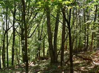 Talona Mountain Rd, Ellijay, GA 30536