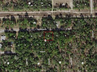 2594 W Royal Palm Dr, Citrus Springs, FL 34434