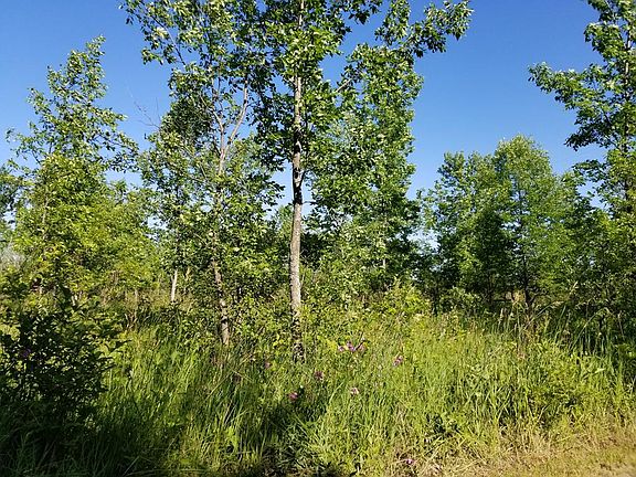 4th image of LOT 1* Settlement Woods