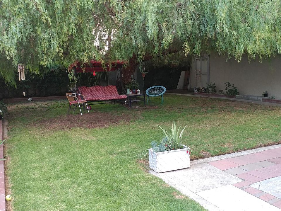 Shared Yard Space