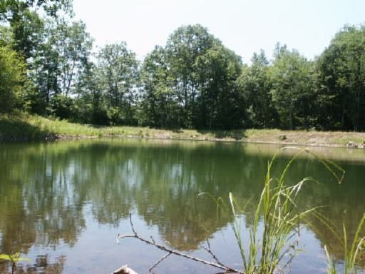 Private pond