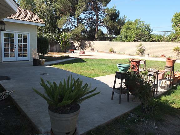 Spacious Back Yard