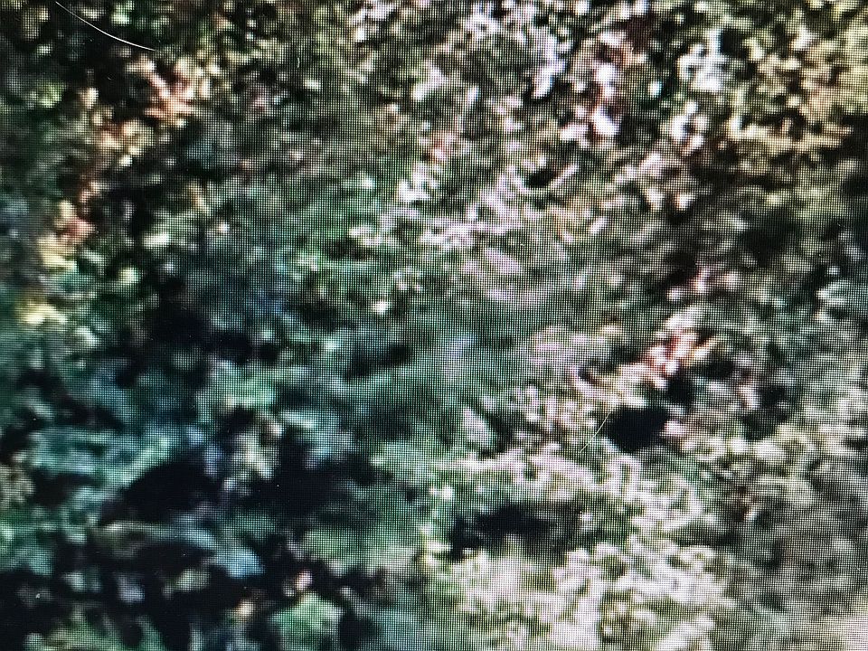1st image of Simonds Rd #124
