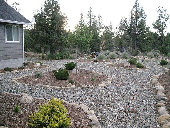 portion of back yard