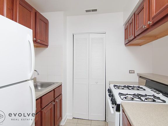 750 W Briar #9 Chicago - Lakeview East Unit Photo 3