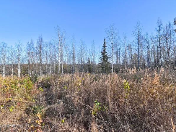 L1 Saddleback Cir, Soldotna, AK 99669