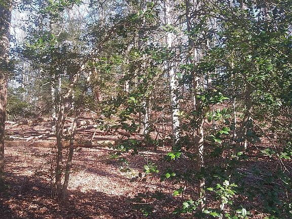 4th image of 29192 Delightful Springs Ln