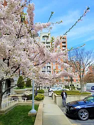 Sold by Mill Realty Group Inc.