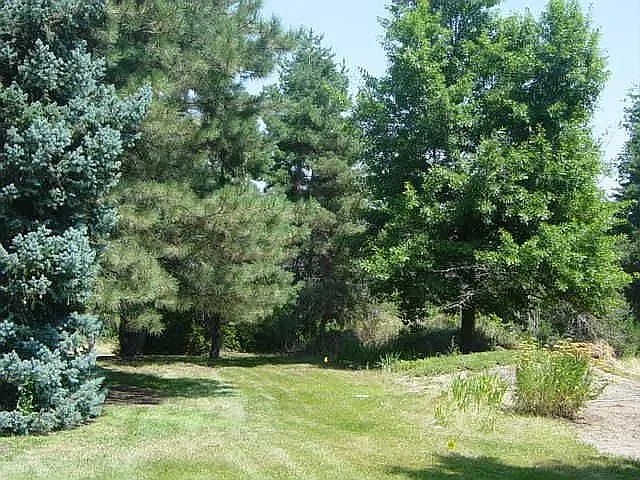 4 bed, 1606 sqft, $2,200 — Photo 2