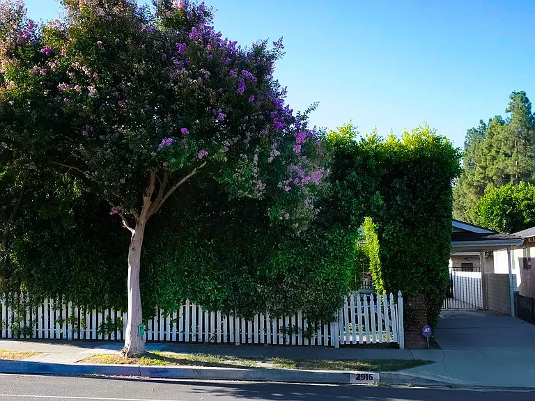 2916 W Verdugo Ave — Photo 5